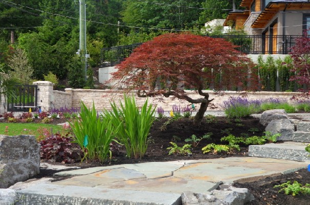 Stone Stairs West Vancouver